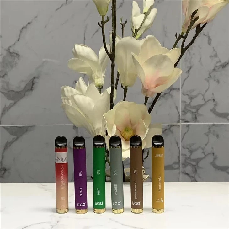 New Fashion Portable Fruit Flavor Disposable Vape